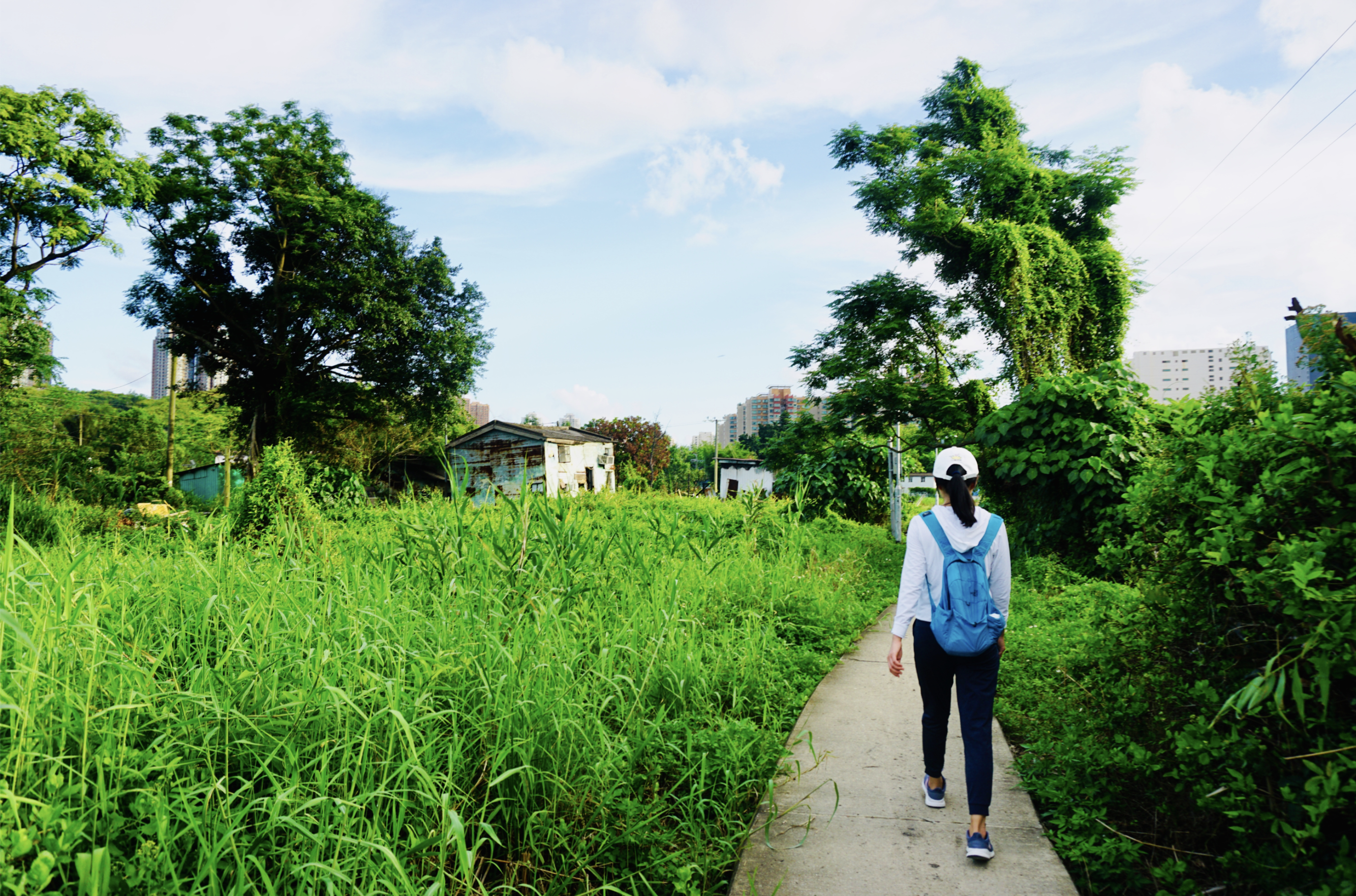 山貝河起點：西鐵元朗站G2出口往東頭村方向，沿元朗舊墟路步行前往山貝村（約10分鐘），乘坐南生圍橫水渡到達。