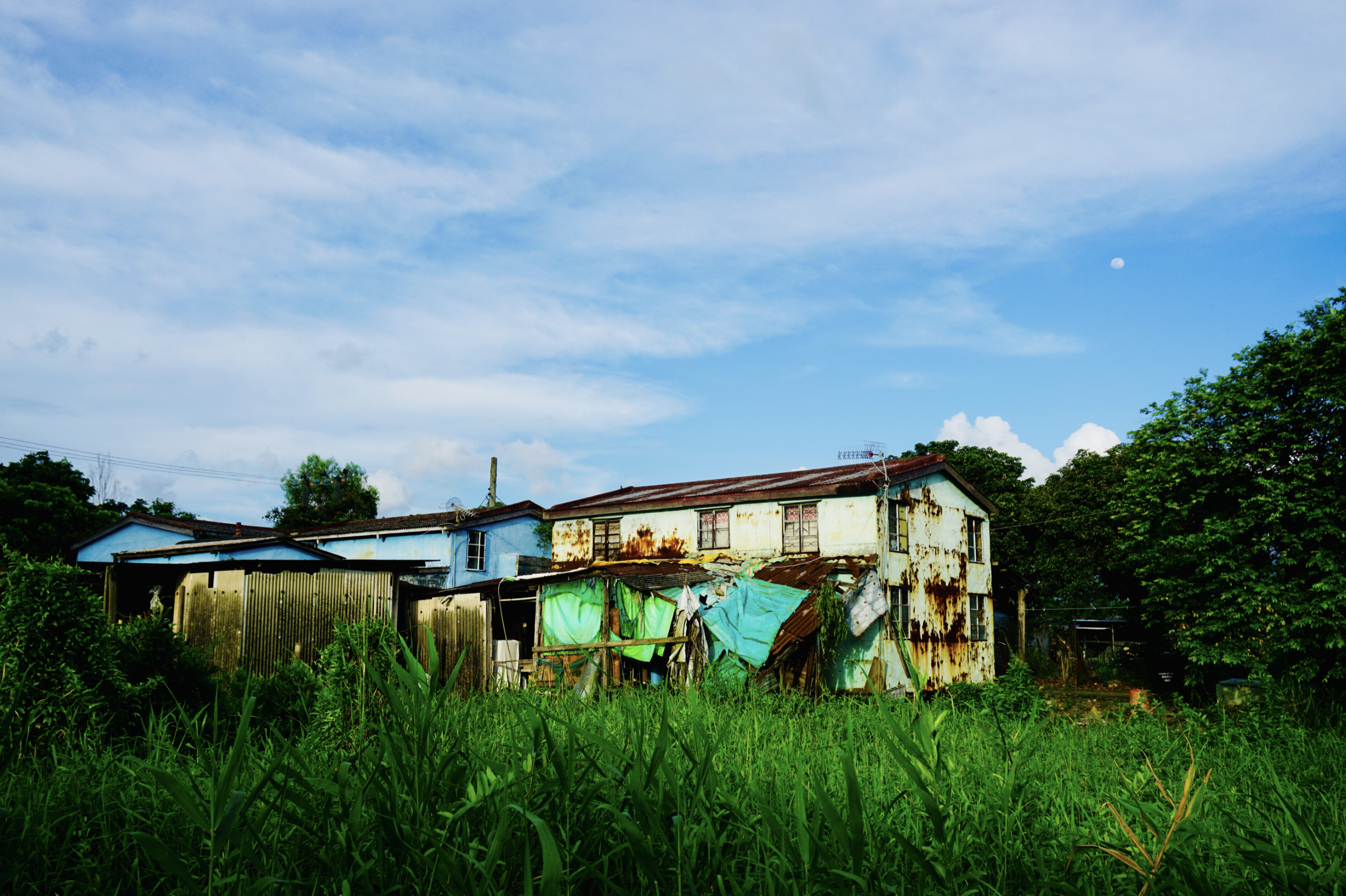 直接從西鐵元朗站（B出口安樂路附近有租單車店舖）踩單車前往。
