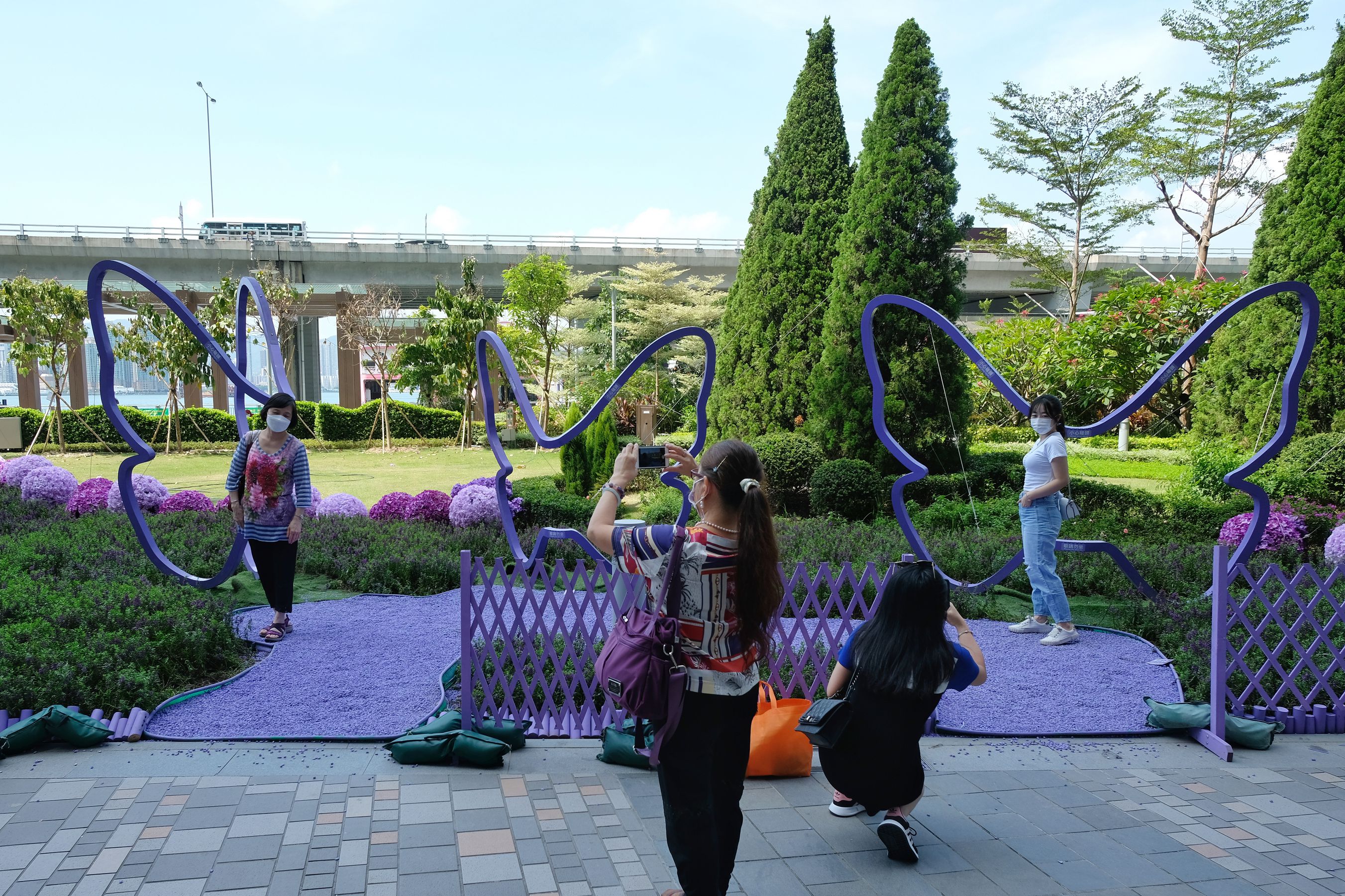 花海中有3個分別高2米至2.5米的巨型紫蝶雕塑，將沿流線形的翅膀不定時噴灑水氣，營造出仙氣彌漫的水效，為炎夏消暑降溫。（點新聞記者麥鈞傑攝）