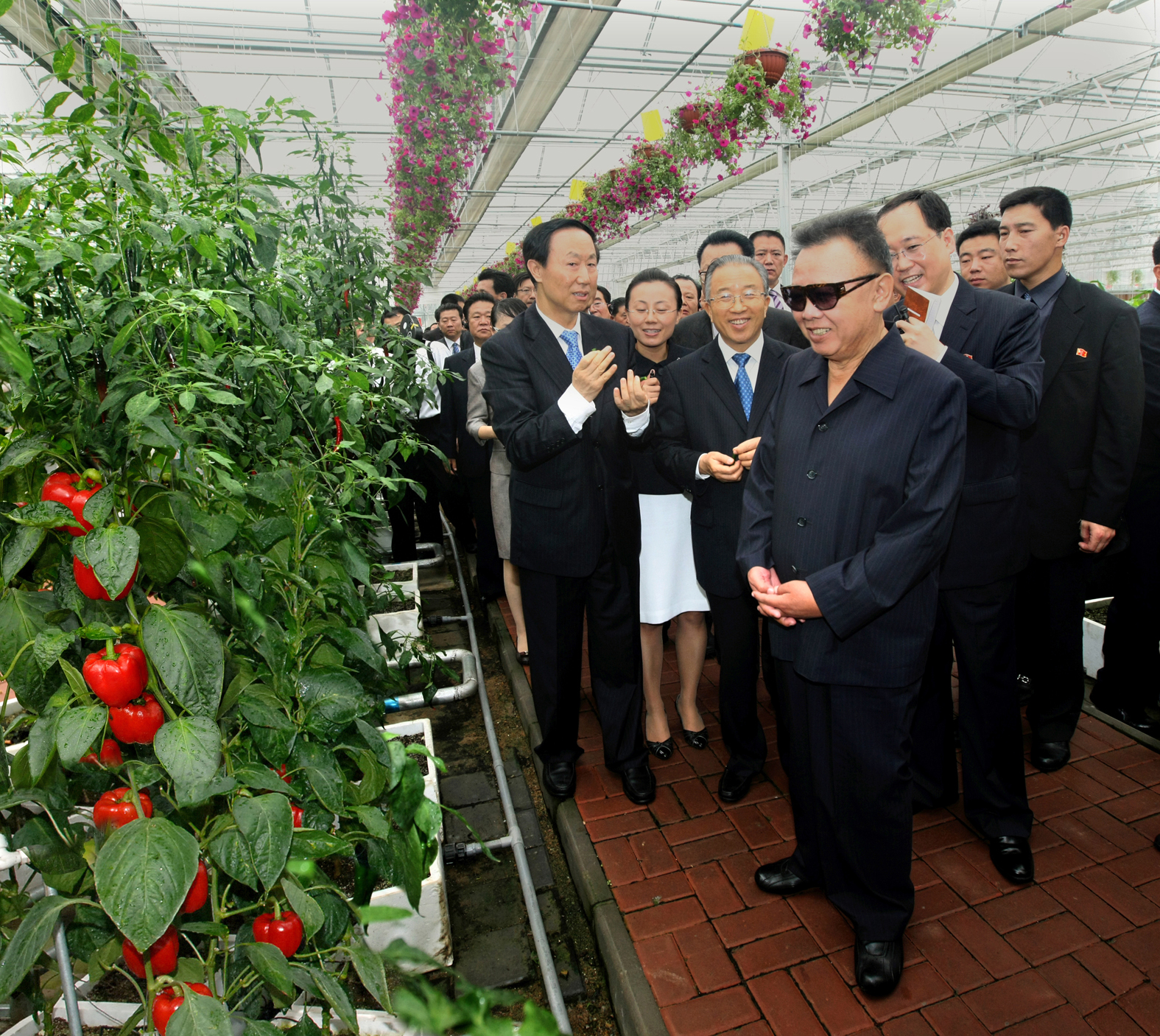 2010年8月，金正日參觀長春農博園。（朝鮮駐瀋陽總領館供圖）