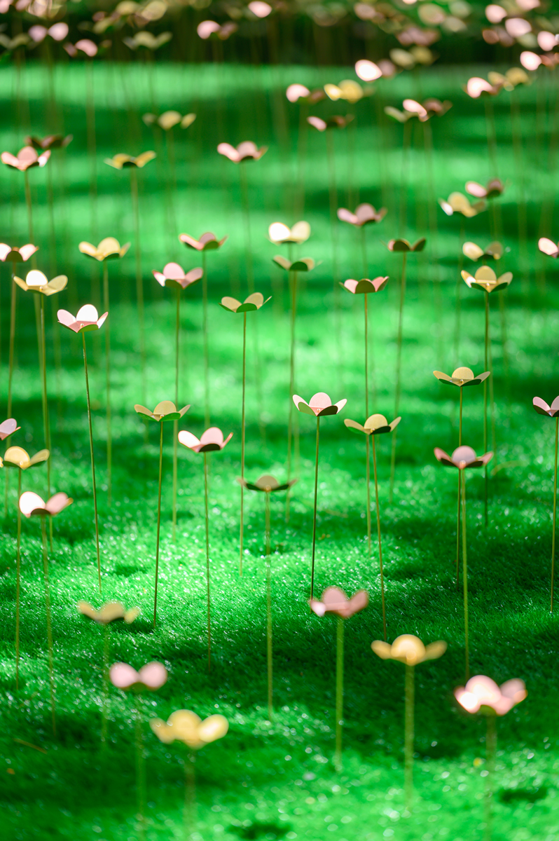 納設計及建築事務所曾偉俊及何鴻禮《雞蛋花池》